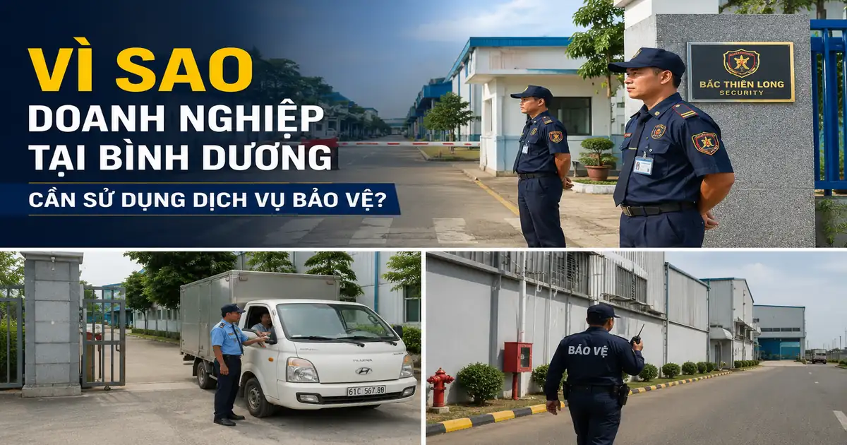 Tổ chức tuyến kiểm tra và báo cáo khi sử dụng dịch vụ bảo vệ